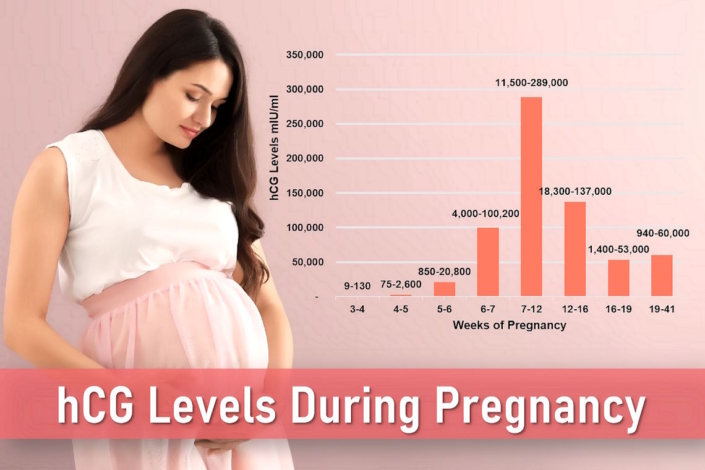 hCG Levels by Week of Pregnancy: What’s Normal and What’s Not