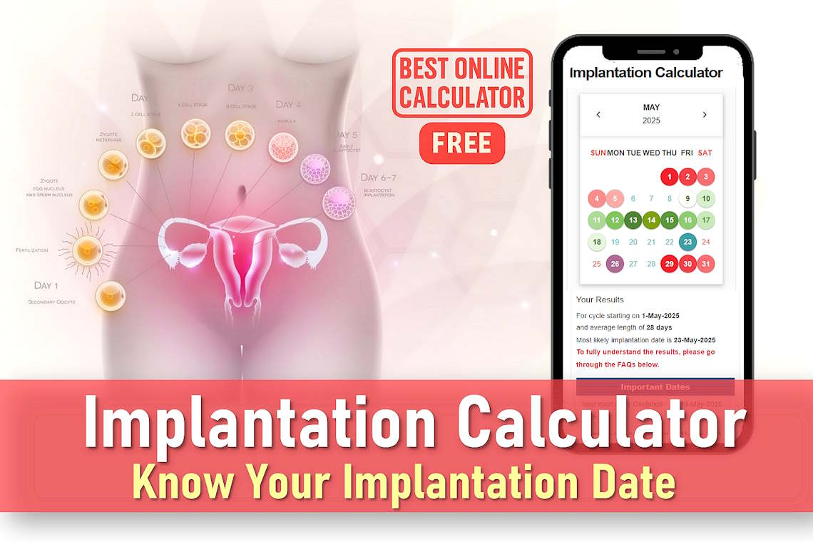 When does implantation occur, Implantation calculator, Implantation bleeding calculator, Calculate my implantation